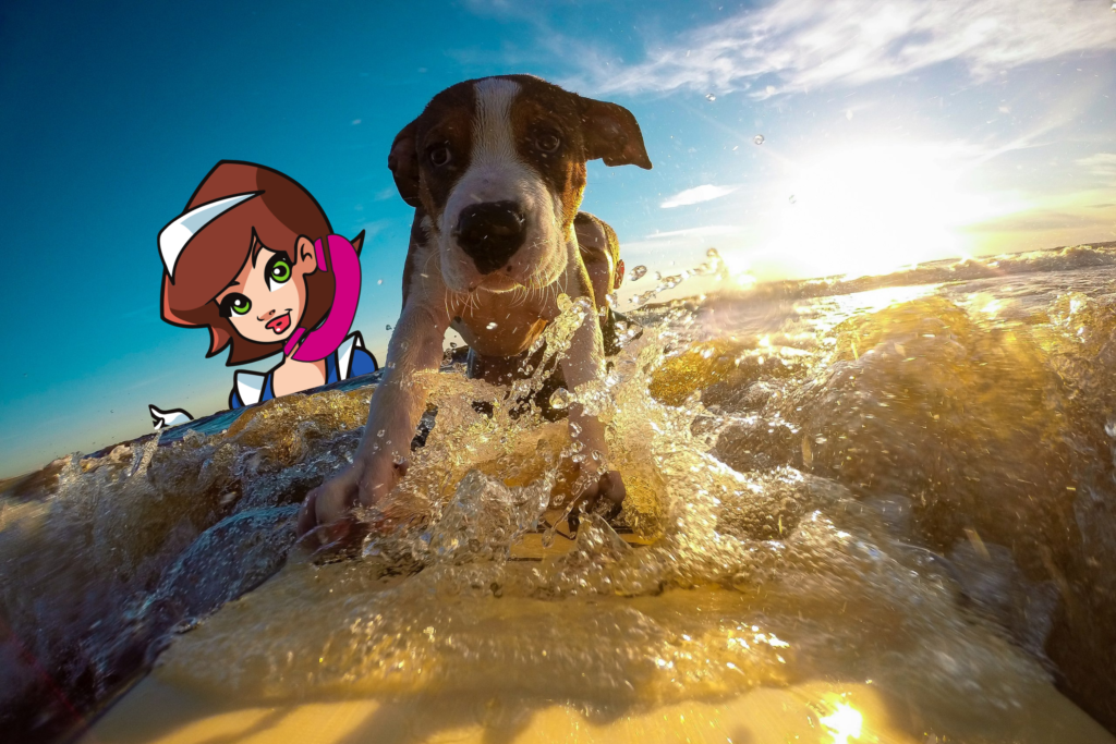 Dog Surfing with owner holding the board for him in the surf coast waves